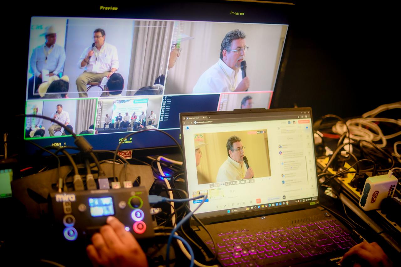 Producción Visual en Vivo